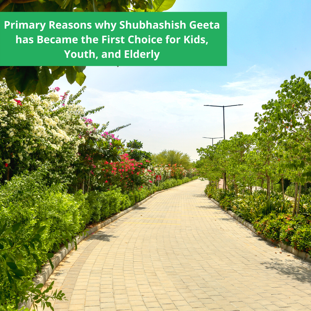 Primary Reasons why Shubhashish Geeta has Became the First Choice for Kids, Youth, and Elderly